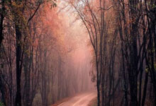 姆巴佩撞梅西是怎麼回事.