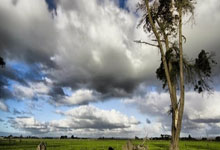 乐虎体育：阿森納小將奈爾斯高速遭遇事故 與別車相撞發生側翻.